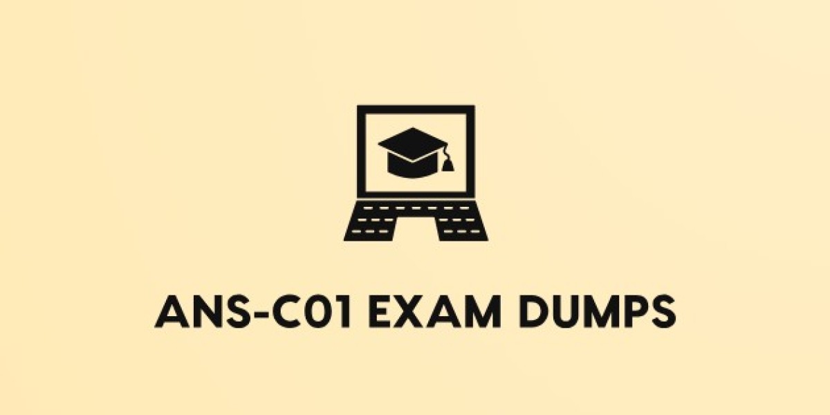 ANS-C01 Exam Dumps: Trusted by Successful Candidates