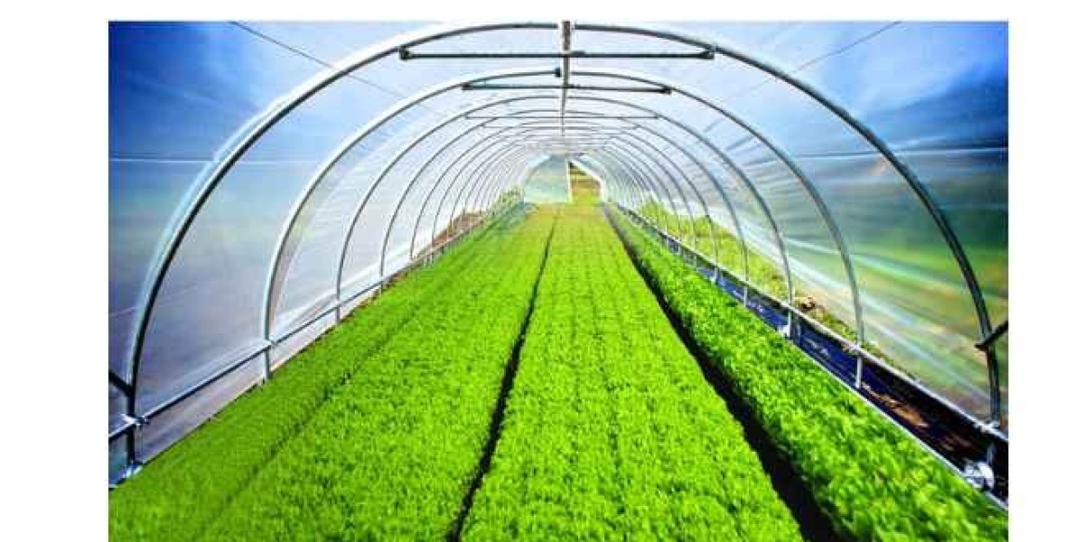 Greenhouse Film: Enhancing Agriculture with Advanced Protective Solutions