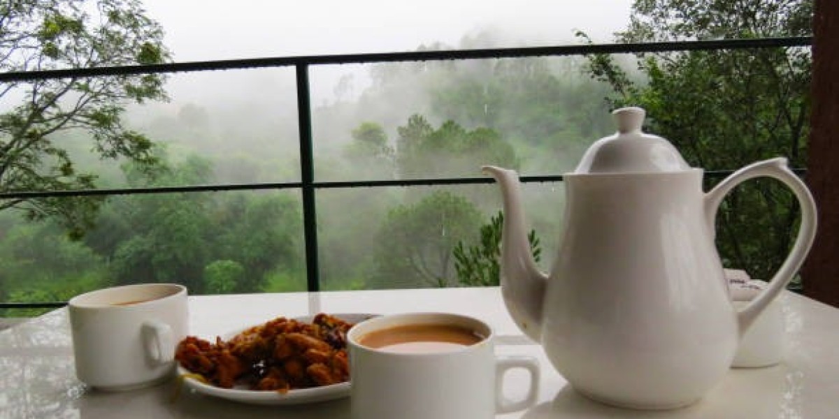 Experience the Serenity of a Coffee Plantation Stay in Coorg