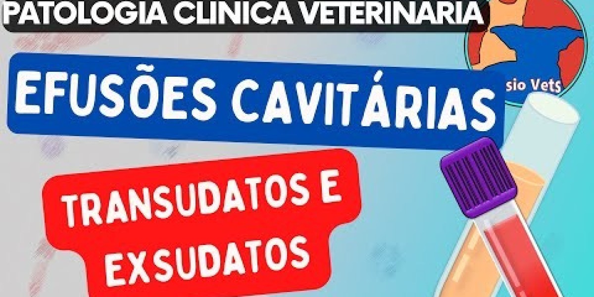 "A Verdade Sobre o Exame de Função Adrenal em Cães e Gatos: O Que Você Precisa Saber"