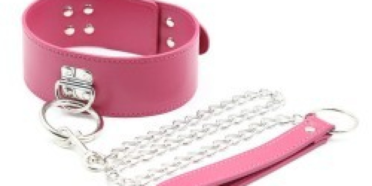 bow leash collar kw239