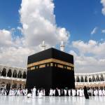 Saudi Evisa Online Profile Picture