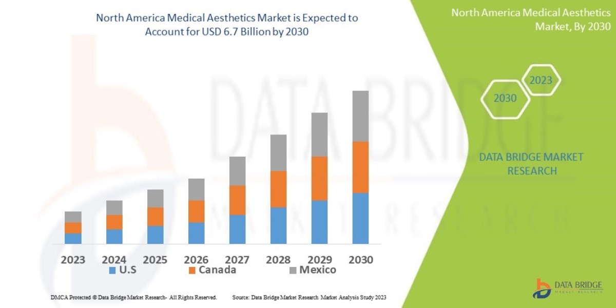 North America Medical Aesthetic Market Leaders, Graph, Insights, Research Report, Companies