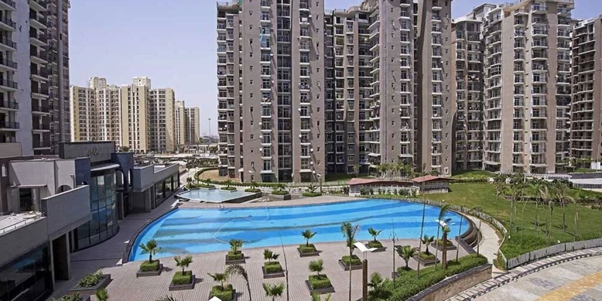 A Family’s Fresh Start – Discovering Flats for Sale in Amrapali Zodiac
