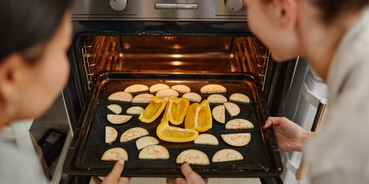 10 Facts About Integral Electric Ovens That Can Instantly Put You In An Upbeat Mood